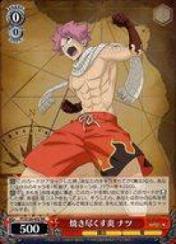 card521963-series392838-rarity557275