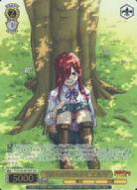 card522064-series392838-rarity557254