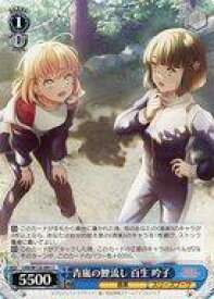 card522077-series393105-rarity557243