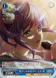 card522121-series393105-rarity557104