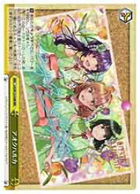 card522253-series393105-rarity557086