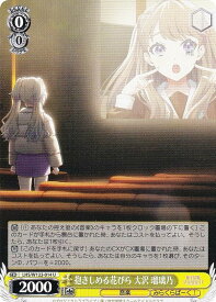 card522269-series393105-rarity557246