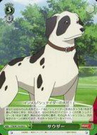 card524689-series395705-rarity557246