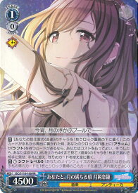 card527042-series398096-rarity557275