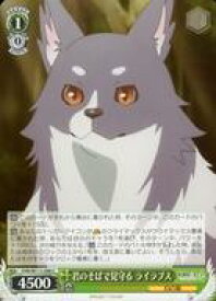 card529556-series400676-rarity557243