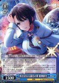 card532945-series404176-rarity557246