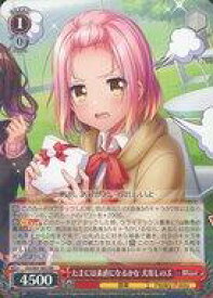 card533017-series404176-rarity557275