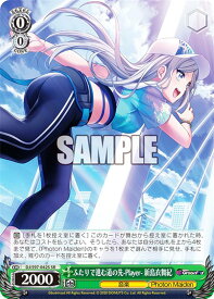 card533025-series404176-rarity557104