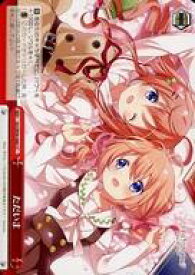 card560155-series432162-rarity557252