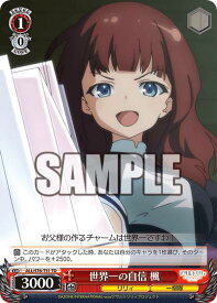 card565127-series437221-rarity557066