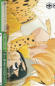 card576948-series449484-rarity557066