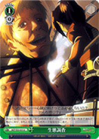 card582016-series454643-rarity557246