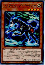 card4918-series11328-rarity1