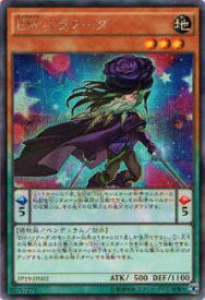 card5454-series12527-rarity5