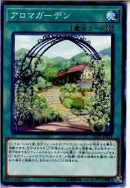 card6526-series11205-rarity1