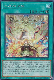 card883-series1581-rarity5