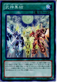 card7446-series17184-rarity1
