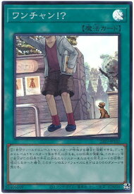 card8223-series5862-rarity3