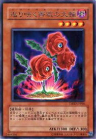 card9413-series21240-rarity62