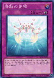 card11202-series20322-rarity1
