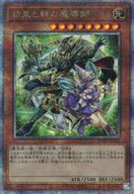 card1310-series2616-rarity408