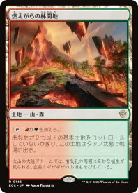 card300178-series2589292-rarity323476