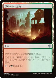 card306676-series2589292-rarity323478