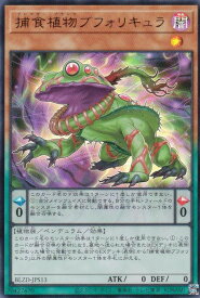 card2100-series2790426-rarity7