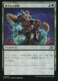card287906-series165981-rarity323480