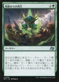 card287929-series165981-rarity323478