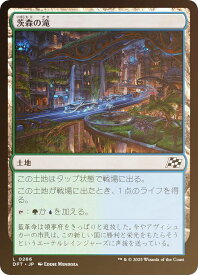 card287604-series165981-rarity323737