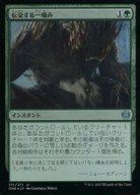 card291489-series169547-rarity323478