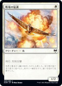 card295041-series173268-rarity323480