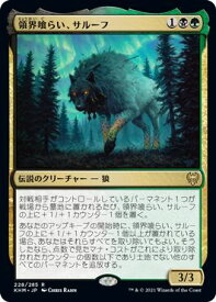 card295266-series173268-rarity323476
