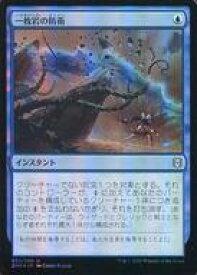 card295489-series173667-rarity323478