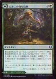 card295629-series173667-rarity323478