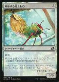 card295822-series174051-rarity323480