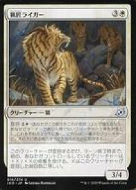 card295837-series174051-rarity323478