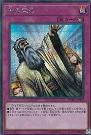 card13014-series9185-rarity5