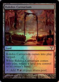 card306516-series184613-rarity323480