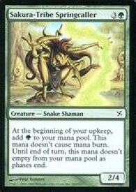 card307296-series185429-rarity323480