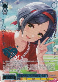 card3154130-series3067915-rarity3545990