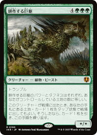 card293674-series179055-rarity323477