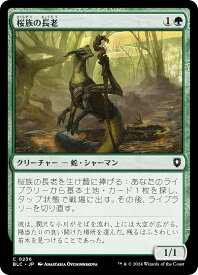 card307558-series205515-rarity323480