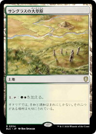 card309513-series205515-rarity323476
