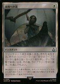 card304260-series205871-rarity323478