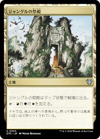 card304616-series207146-rarity323478