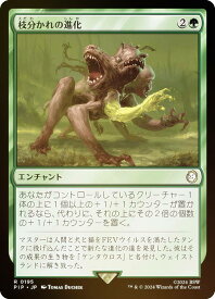 card_328183_series_207488_rarity_323476_