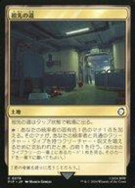 card324236-series207488-rarity323480