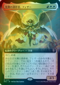 card329755-series208024-rarity323477